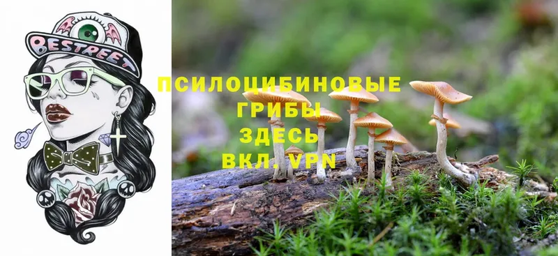 Псилоцибиновые грибы MAGIC MUSHROOMS  Спас-Деменск 